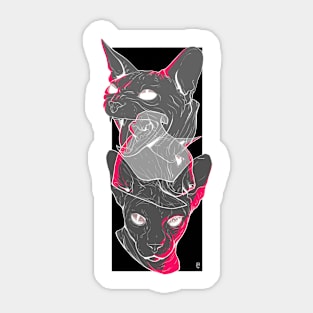 Cat, Cat, & Cat Sticker